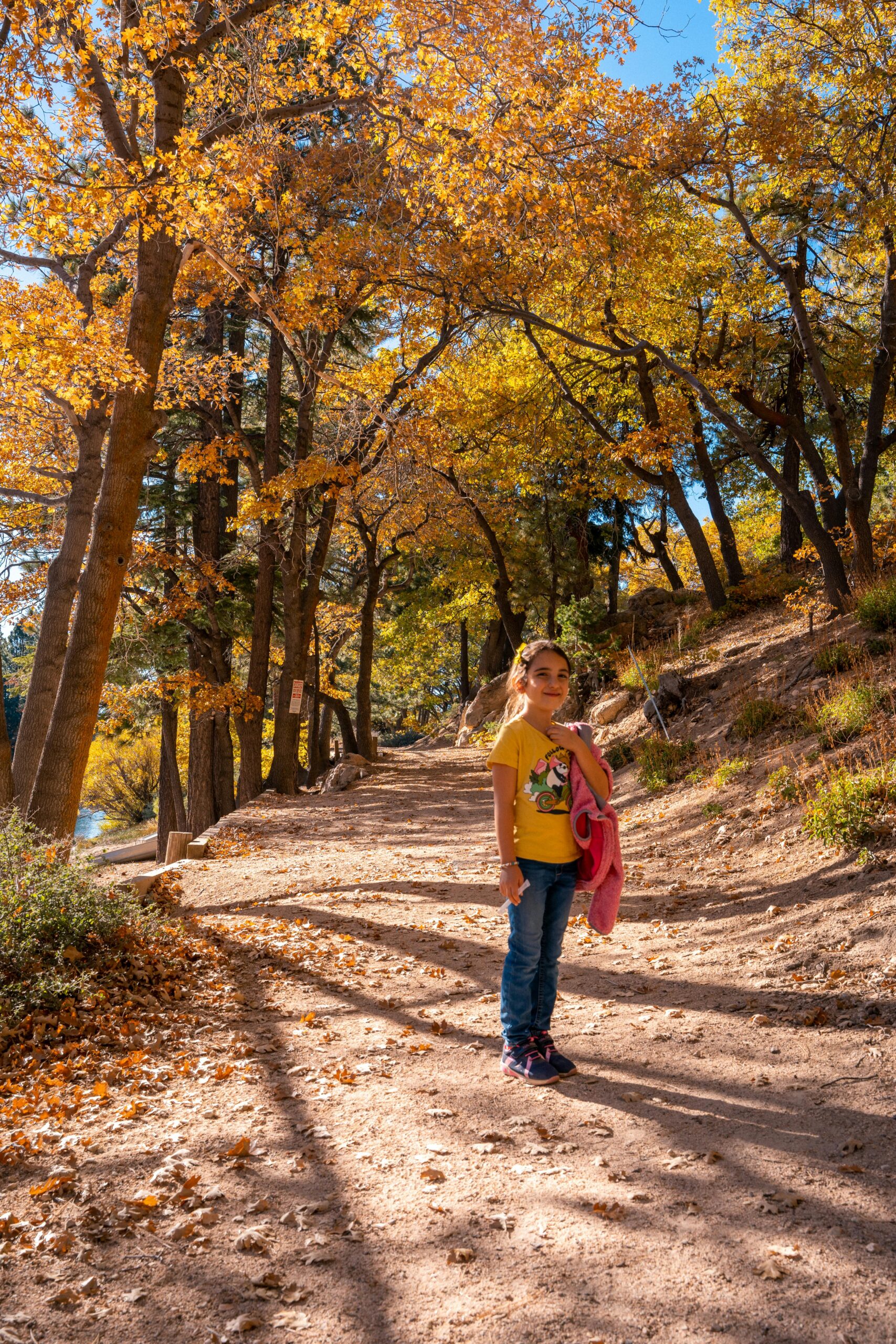 Why Taking Kids on Hikes is a Powerful Learning Experience